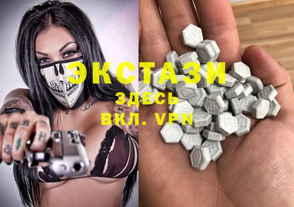 индика Сатка