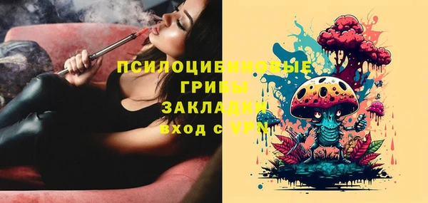мет Арсеньев