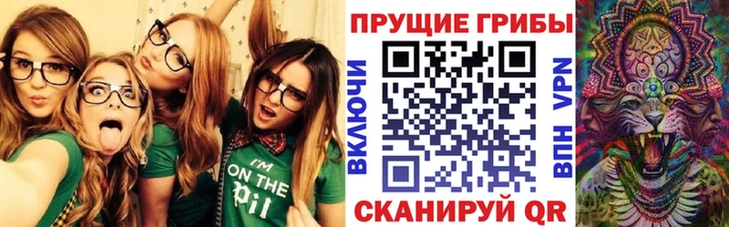 Псилоцибиновые грибы прущие грибы  наркошоп  дарк нет официальный сайт  Усть-Джегута  блэк спрут вход 